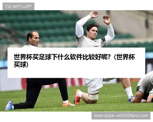 世界杯买球网站有哪些优质平台，详细比较不同平台的优势与不足